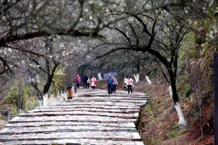大余县梅关景区1.jpg